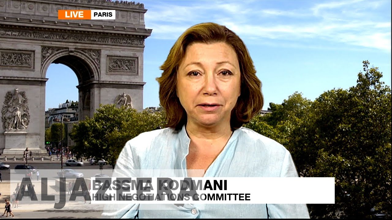 Syria: HNC's Bassma Kodmani reacts to ceasefire deal
