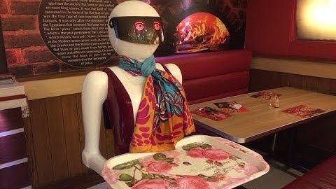 Robot Waiter Serving Pizza in Multan, Pakistan | Life Skills TV