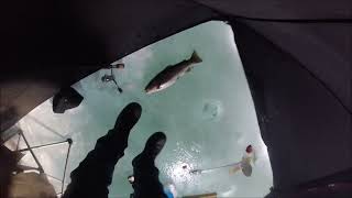 Ice Fishing February 2022