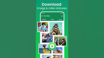 View and Save Status Easily | Status Saver & Downloader