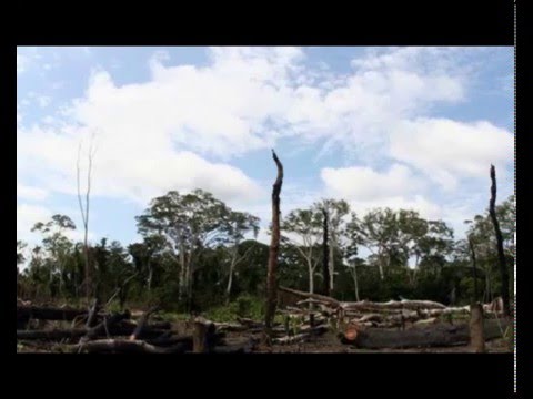 Module III - YouTube
