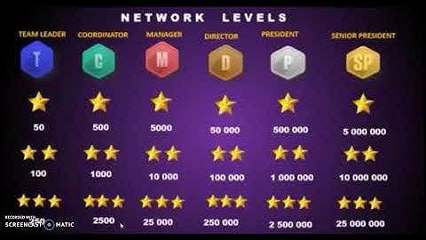NETWORK LEVELS IN MONETARY TERMS