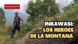 Café extremo. Así se cultivan los cafés más deseados del Perú