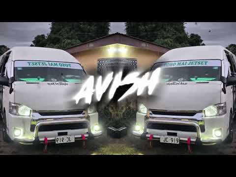 Baaghi 4 - Guzaara (Reggae Remix) | AVISH679