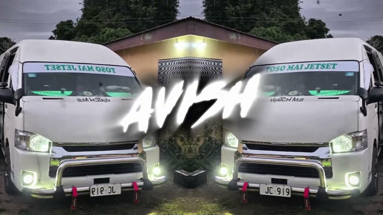 Baaghi 4 - Guzaara (Reggae Remix) | AVISH679