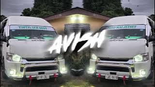 Baaghi 4 - Guzaara (Reggae Remix) | AVISH679