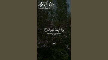 ما تيسر من #سورة_التكوير ||حالات واتس قرآن ||القارئ#عبدالباسط_عبدالصمد  #قران_كريم_بصوت_جميل_جدا