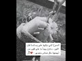 مجرد ذوق حالات واتساب 
