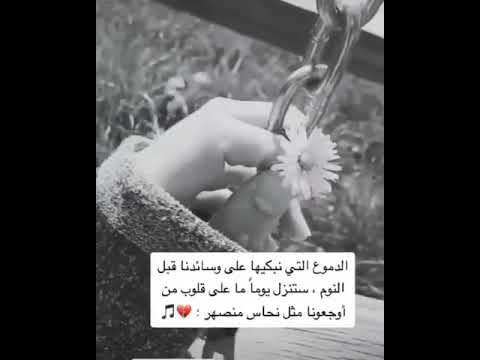 مجرد ذوق حالات واتساب