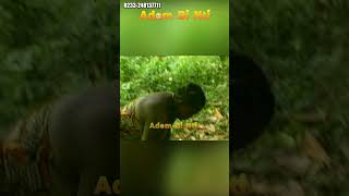 #trending #comedy #short #funny #viral SIKA NAANA HEYFORD,JUDAS ,KWAME OWUSU ANSAH,SANTO, PART 2A10
