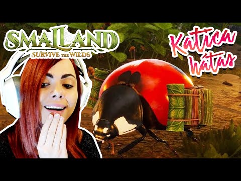 ARK + GROUNDED?! 🐞 SAJÁT KATICA! 🐞 - SMALLAND #1