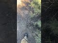 Nicholas Aldinger is live!
