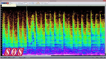 Samplitude Pro X - The Spectral Cleaning Offline Editor