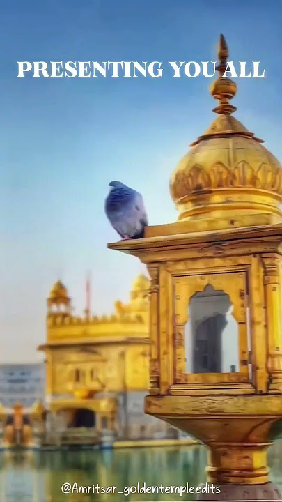 New shabad gurbani 2023 | New gurbani kirtan 2023 |Waheguru ji status  | Waheguru ji status punjabi