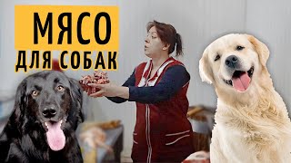 ЧЕМ НАКОРМИТЬ СОБАКУ ЧЕМ НАКОРМИТЬ СОБАКУ