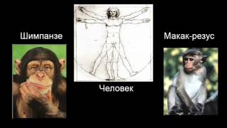 Доказательства Эволюции Часть Ievidence For Evolution, Part I By Cdk007