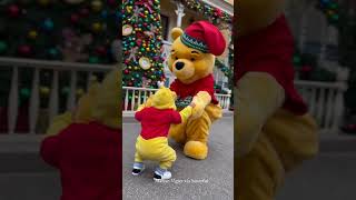 Mini The Pooh Adorable Costumed Toddler Gets Hug From His Favorite Character At Disneyland