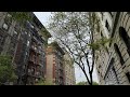 Live nyc monday walk in the city  nyc newyork travel