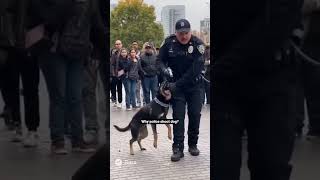 Why Dog Shoot #dogs #police #shorts
