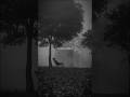Take Me Away - New Medicine ( lyrics ) #song