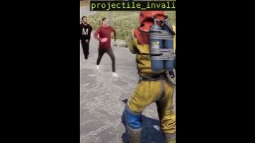 POV Projectile invalid in Rust be like