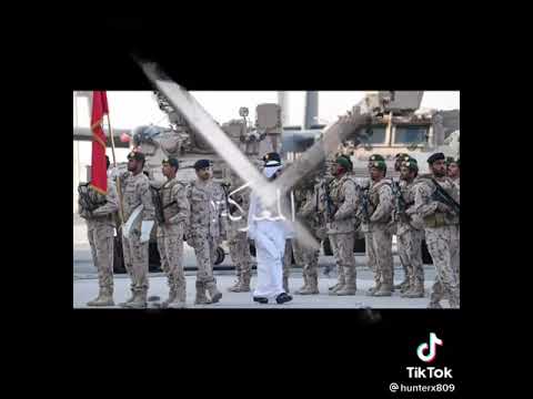 الجيش الإمارات ا