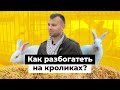 Один на миллион. Как единственный фермер-кроликовод Татарстана строит бизнес на селе