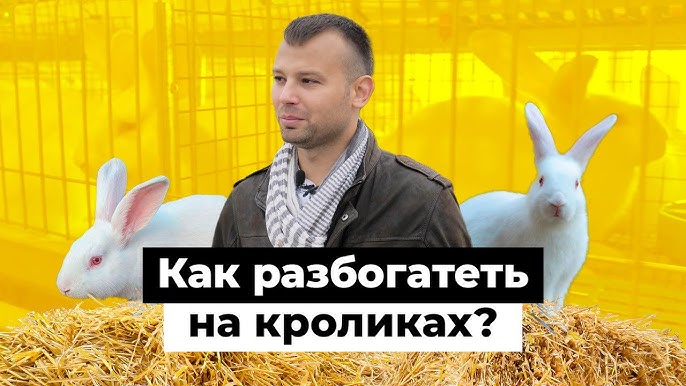 Как Денис Мельников стал успешным фермером и создал собственную кролиководческую ферму в Татарстане.