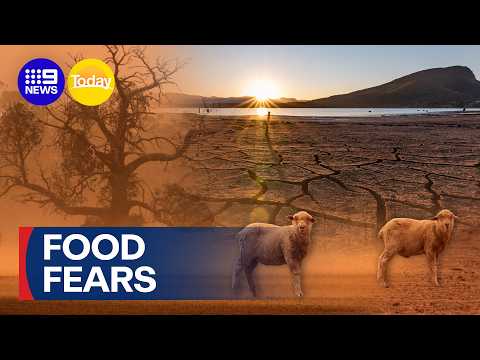 Record-breaking El Niño could leave Aussies sweating at the checkout | 9 News Australia