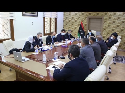 عضو المجلس الرئاسي أحمد حمزة يبحث مع سفير إيطاليا تنفيذ مبادرة تنمية الزراعة في الجنوب