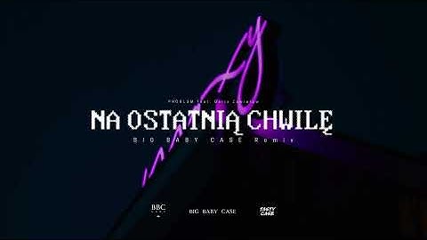 PRO8L3M feat. Daria Zawiałow - Na ostatnią chwilę (BIG BABY CASE Remix) [Sped Up]