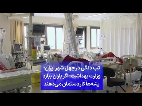 تب دنگی در چهل شهر ایران وزارت بهداشت اگر باران ببارد پشه ها کار دستمان می دهند