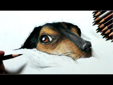 色鉛筆で犬を描いてみた タオルにくるまってる編 How To Draw A Dog Youtube