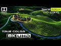 8K Video Ultra HD Nature | Best of Dolby Vision™ - 8K HDR 120FPS