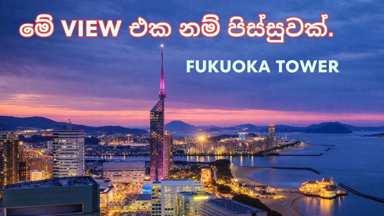 ජපානයේ seaside එකේ උසම කුළුණ |Fukuoka Tower day and night view | japan vlog