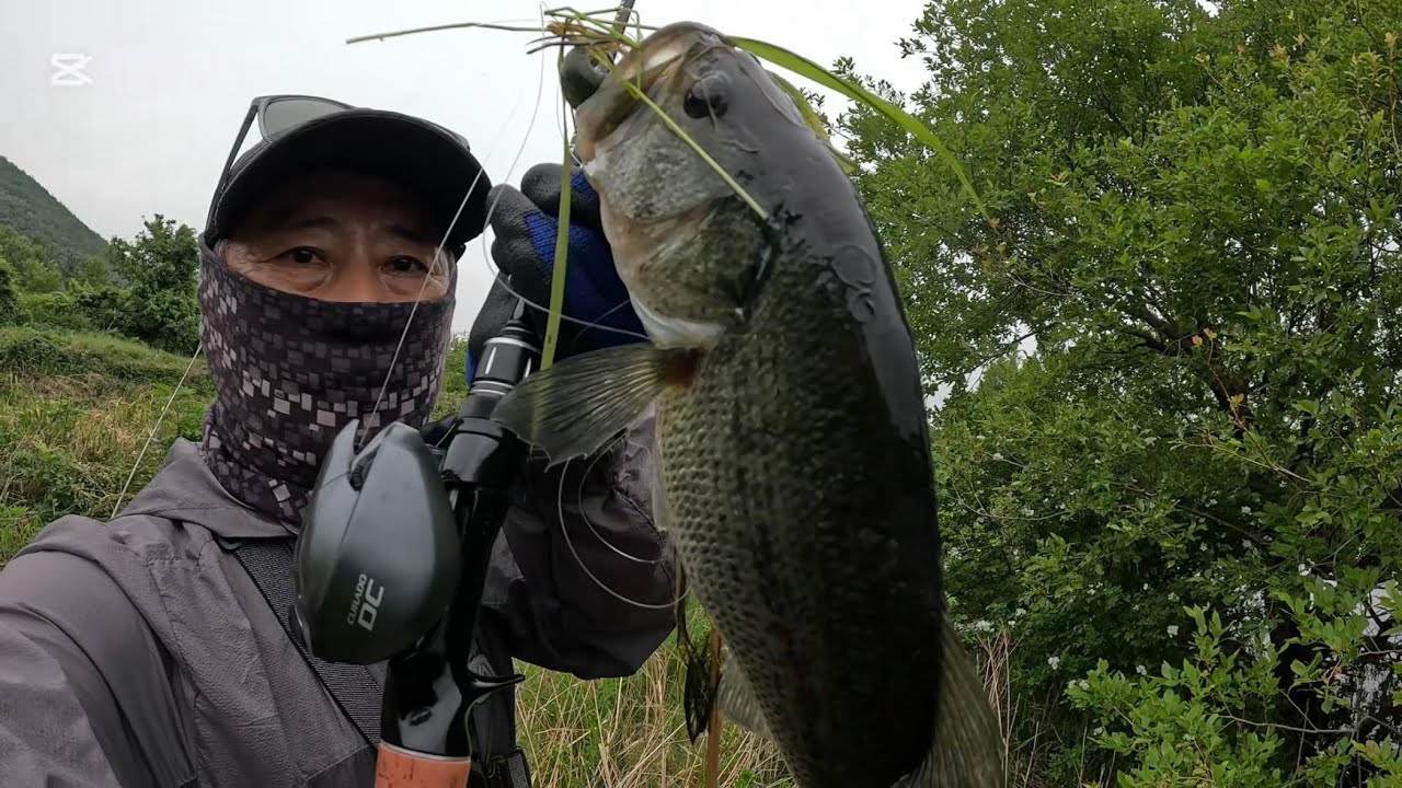 2025.05.21. Angler's Diary – Bass Fishing in Gyeongju Korea : 현재 경주권 산란기 산란직후 초예민 배스 패턴은 바닥에서 완전 천천히
