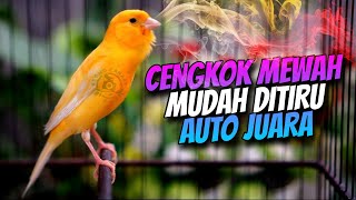 MASTERAN KENARI GACOR CENGKOK MEWAH MUDAH DITIRU AUTO JUARA