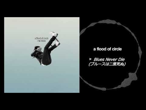 a flood of circle『I'M FREE』 - YouTube