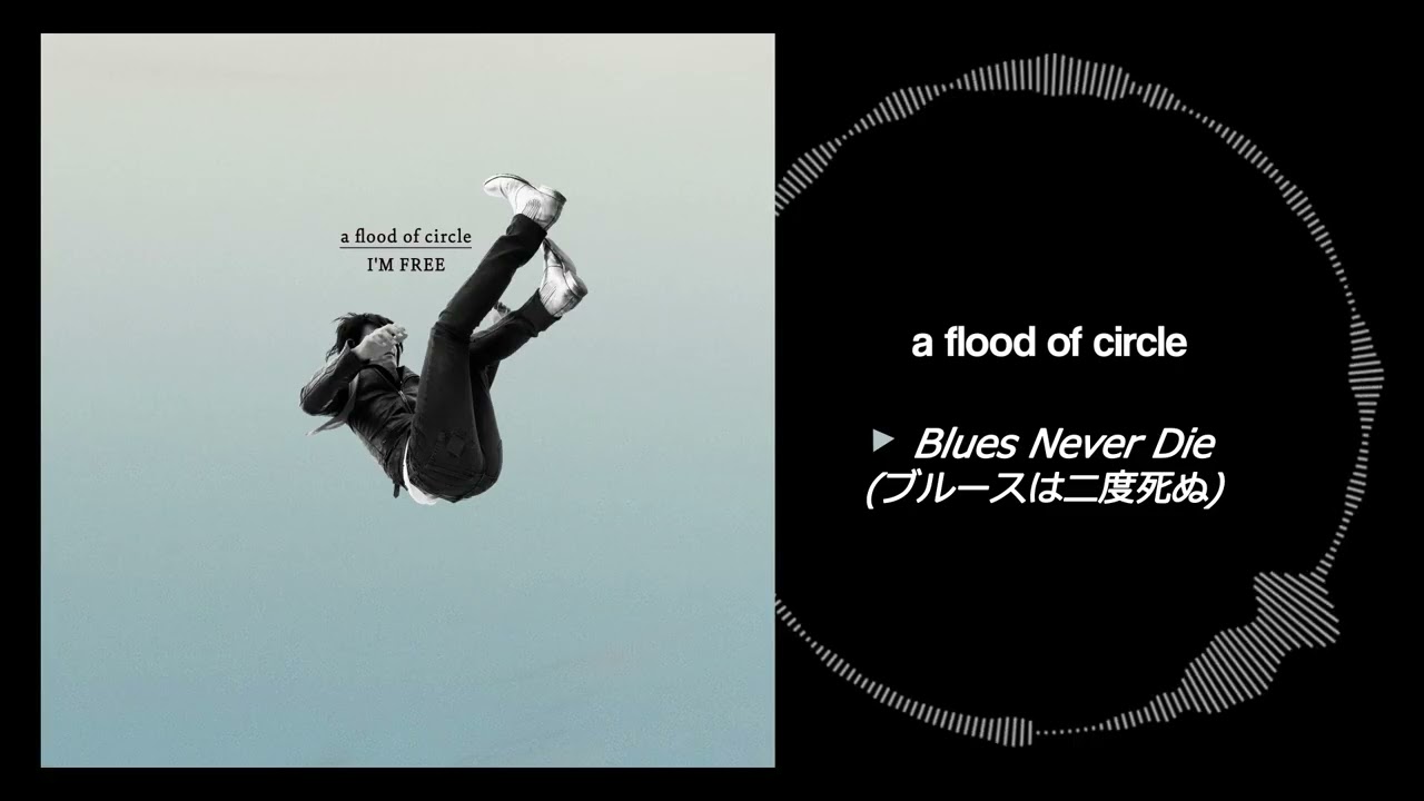 Blues Never Die(ブルースは二度死ぬ) - a flood of circle - YouTube