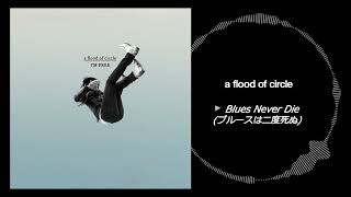 Blues Never Die(ブルースは二度死ぬ) - a flood of circle - YouTube