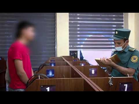 Mashhur ayollarning samimiy fotosuratlari Shula Styles, Carmella Bing va Gina Michaels bitta katta xurmoga ega