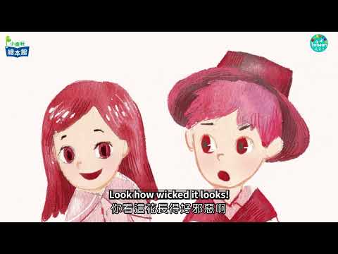 中文字幕 兒童專區 彩色王國
