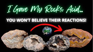 I Gave My Rocks Acid.. | You won’t BELIEVE their REACTIONS!