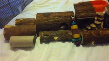 The Toys I Have For The Mice So Far.