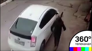 Жительница Владивостока намеренно переехала собаку на глазах у хозяина - СМИ2 Жительница Владивостока намеренно переехала собаку на глазах у хозяина - СМИ2