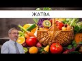 Жатва. 2018-10-21 | Александр Д. Иванов, МСЦ-ЕХБ
