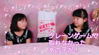 クレーンゲームで取れなかったあの子が！？