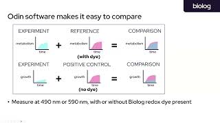 Introducing Odin VIII for Comprehensive Phenotypic Characterization and Microbial ID
