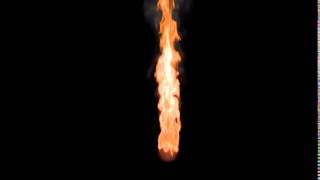 #DPIT Effex Fire #ss19-thevinemeister