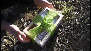 Dig Your Roots - Your Very Own Heirloom Ancestral Soil